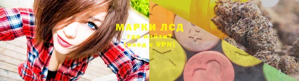 шишки Баксан