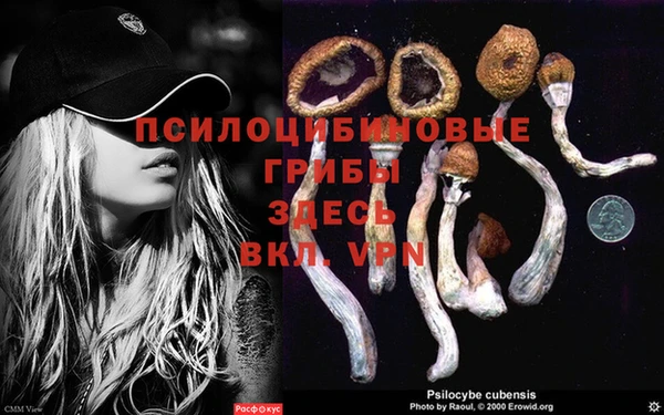 твердый Балабаново
