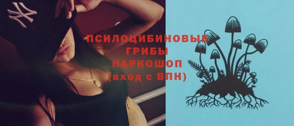 шишки Баксан