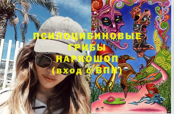 шишки Баксан