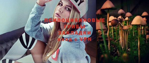 шишки Баксан