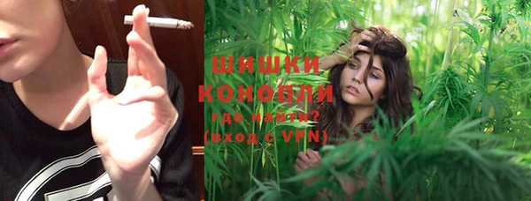 шишки Баксан