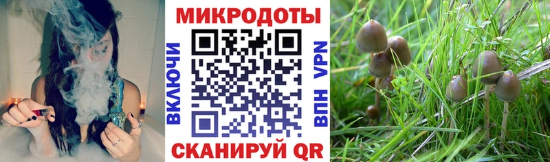 Галлюциногенные грибы прущие грибы  Курлово 